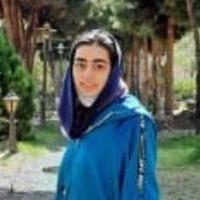گیلدا سلیمانی آرا