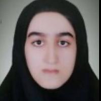 نگین نوح پیشه